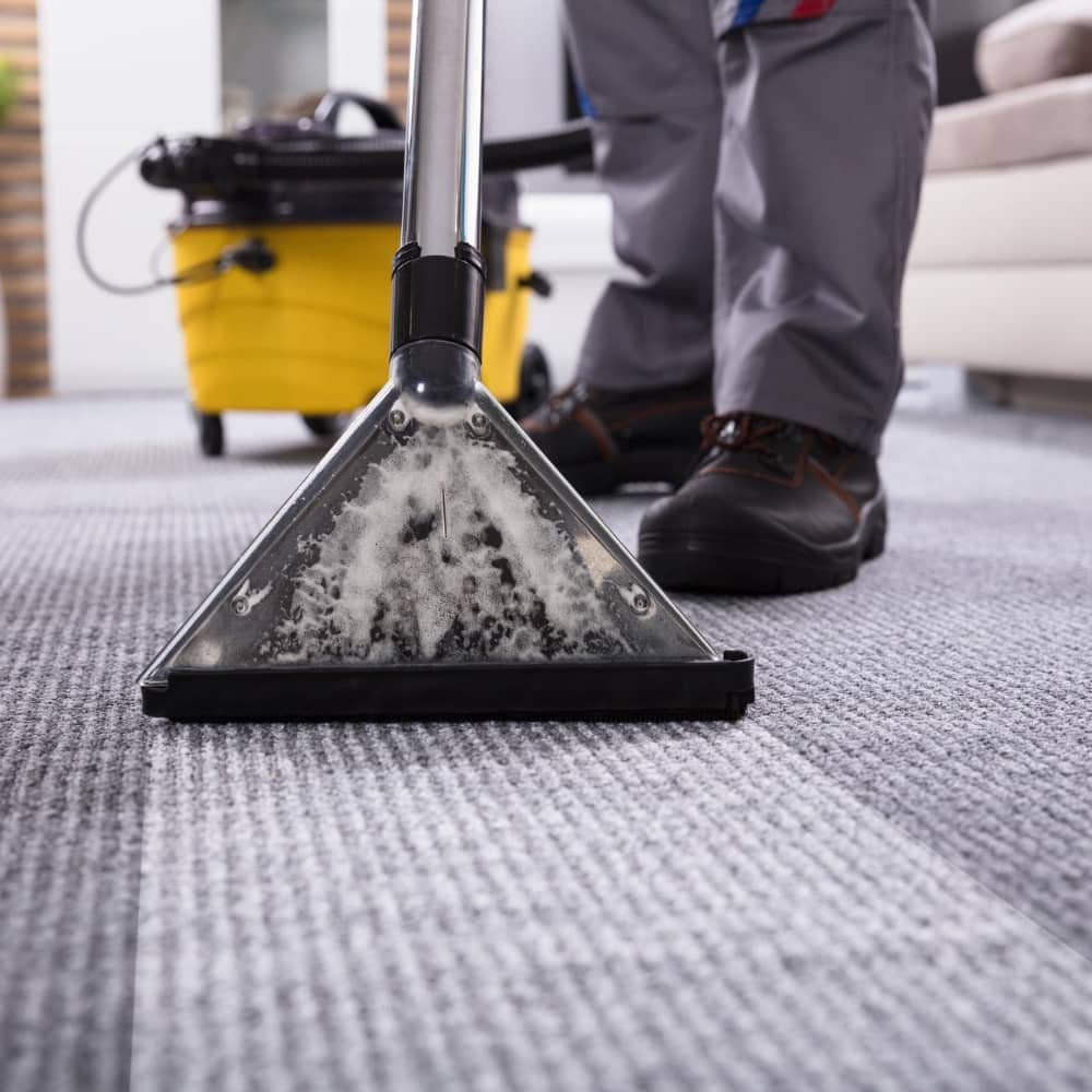 Carpet Cleaning in South Florida