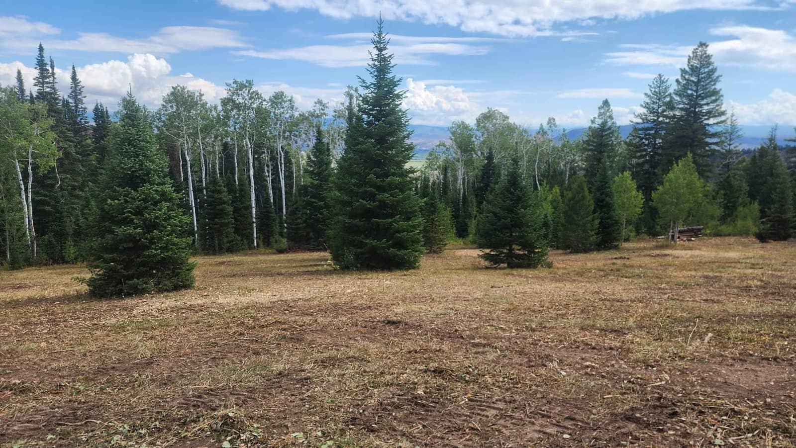 Wildfire Mitigation​ in Col