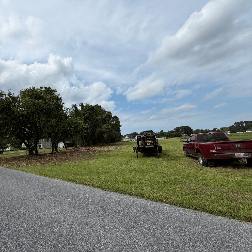 Freshly cut lot along a road on the Delmarva Peninsula