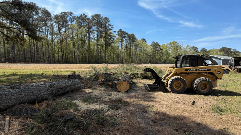 Skid steer moving logs during tree work on the Delmarva Peninsula