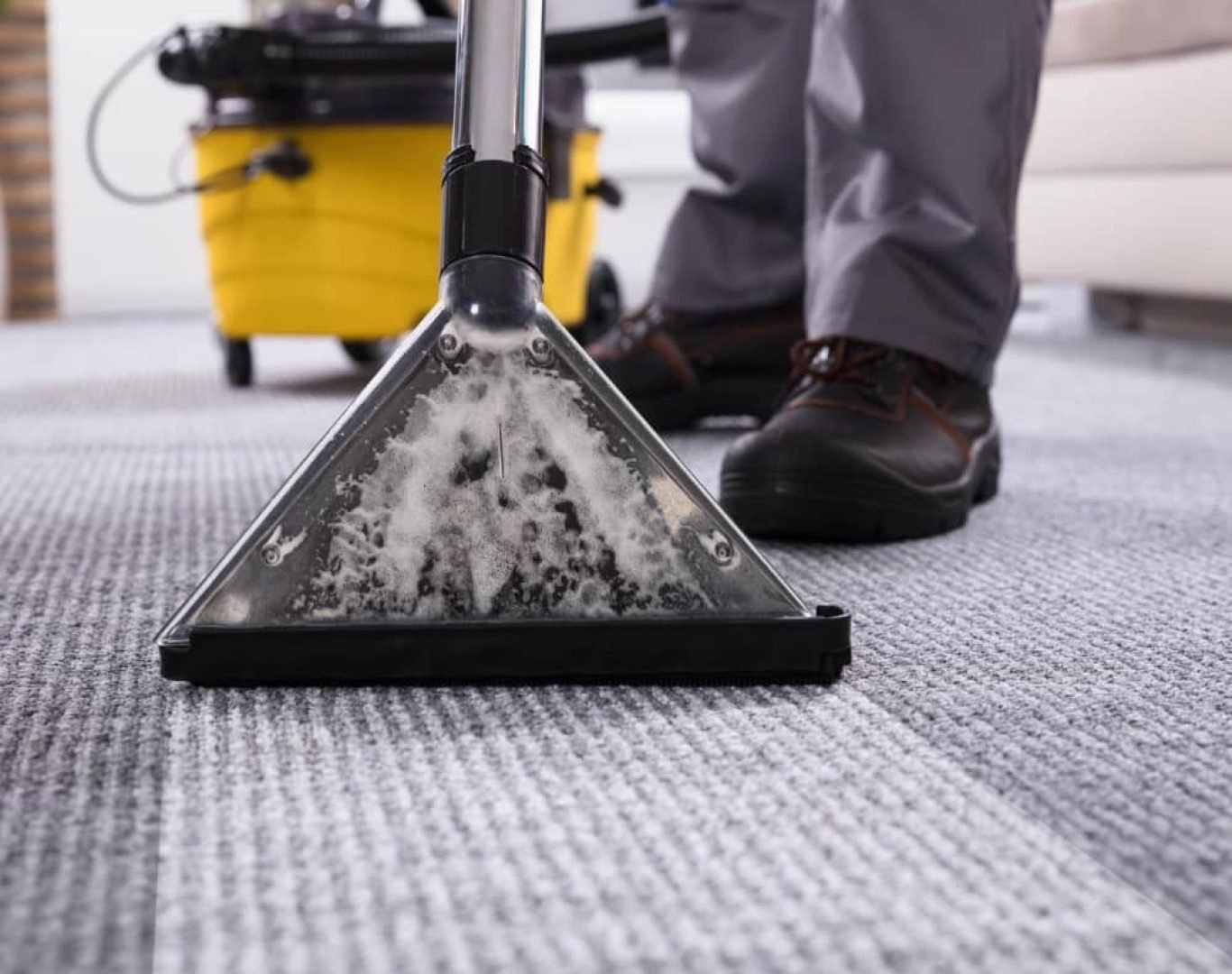 Carpet Cleaning in South Florida